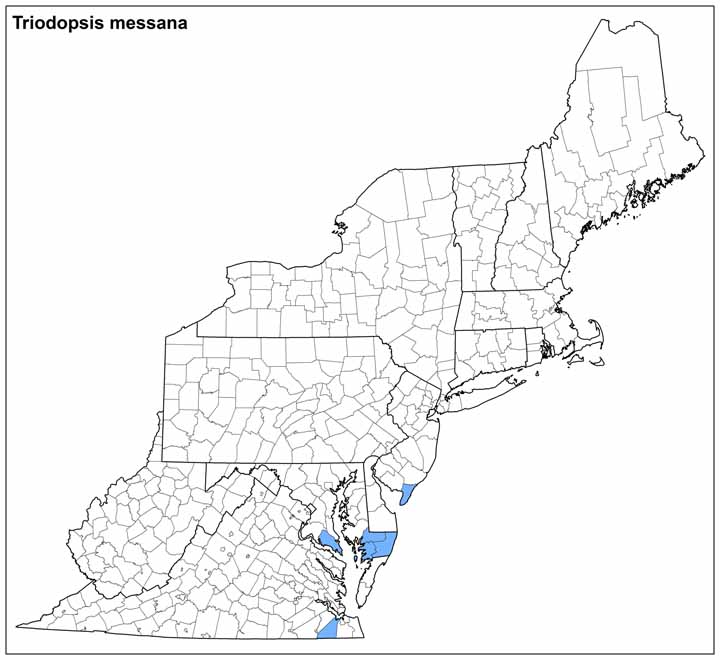 Triodopsis messana Range Map